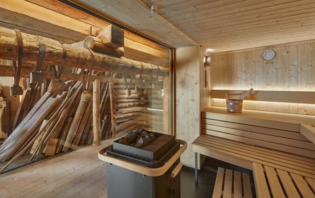 Sauna PREMIUM